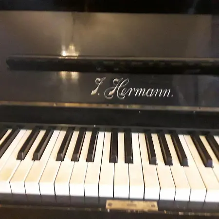 Pansion Hermann